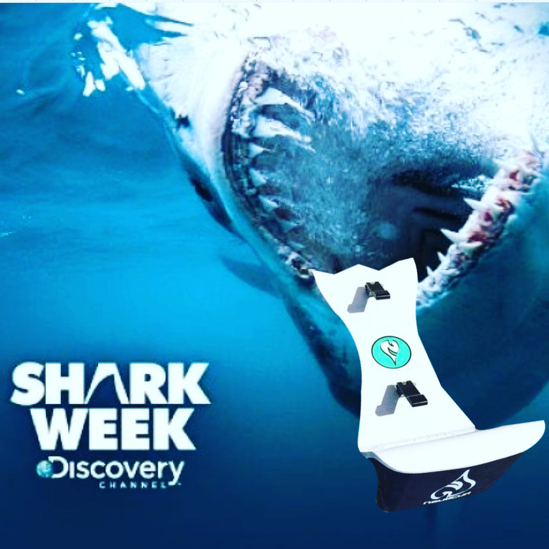 Shark Week!