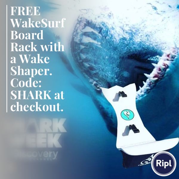 Shark Week - FREE Rack